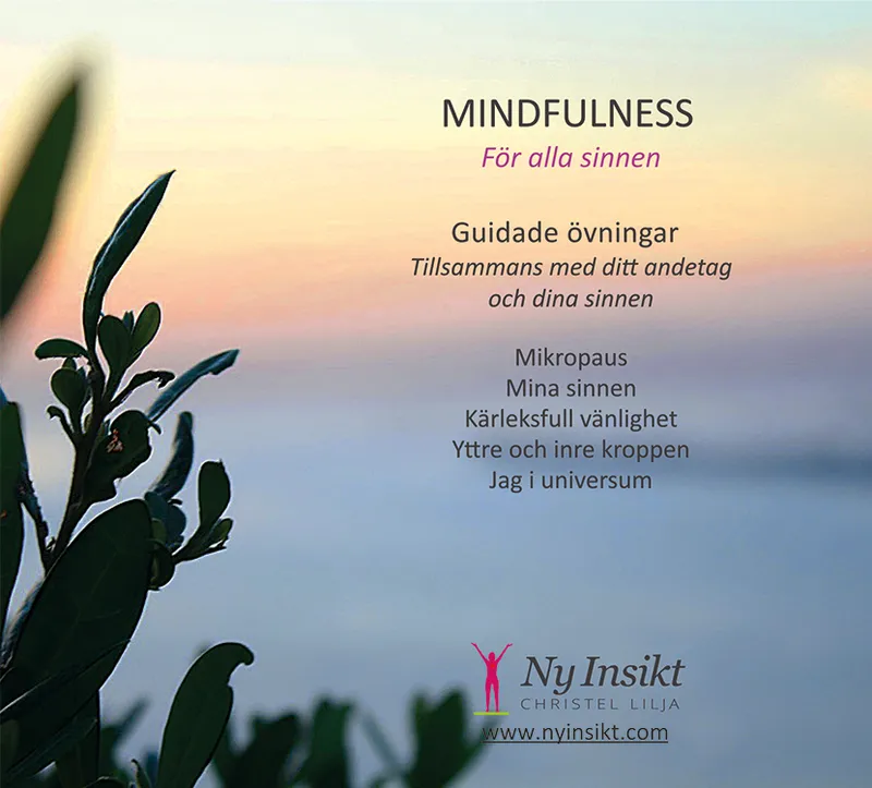 Mindfulness : för alla sinnen, Ljudbok