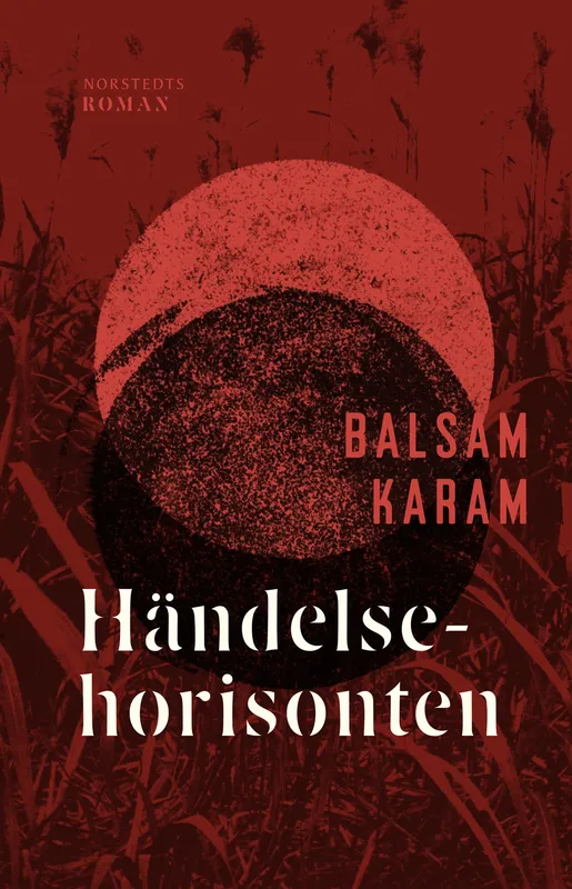 Händelsehorisonten, E-bok