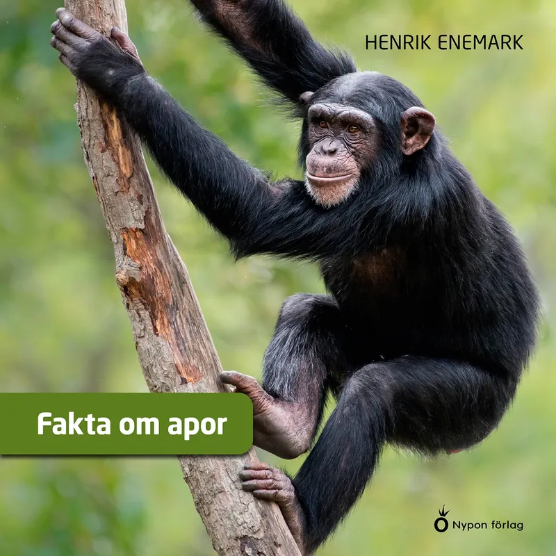 Fakta om apor, Ljudbok