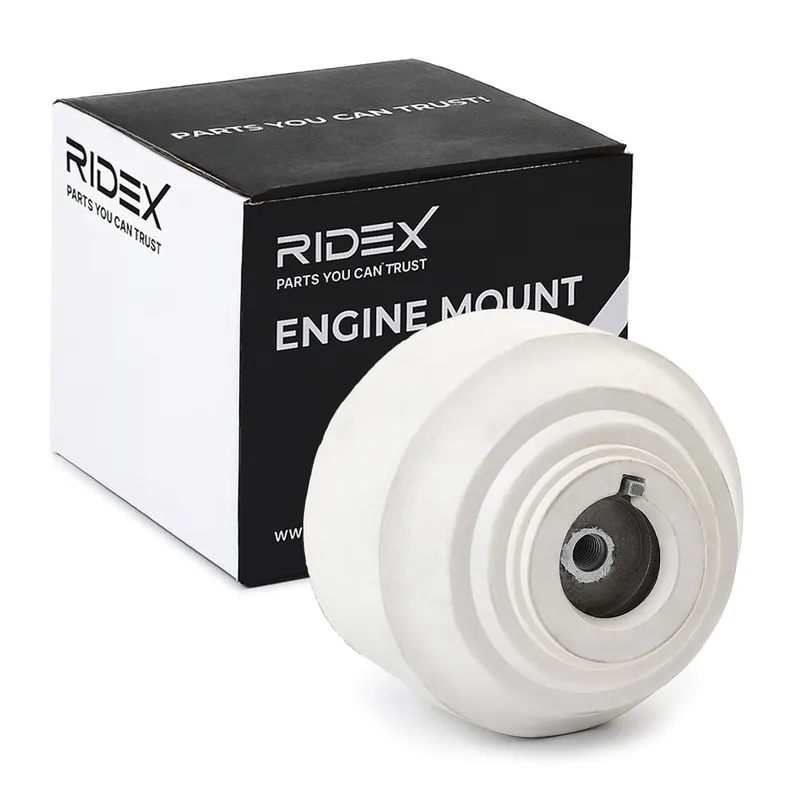 Motorkudde RIDEX 247E0662