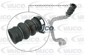 Laddluftslang VAICO V25-1052