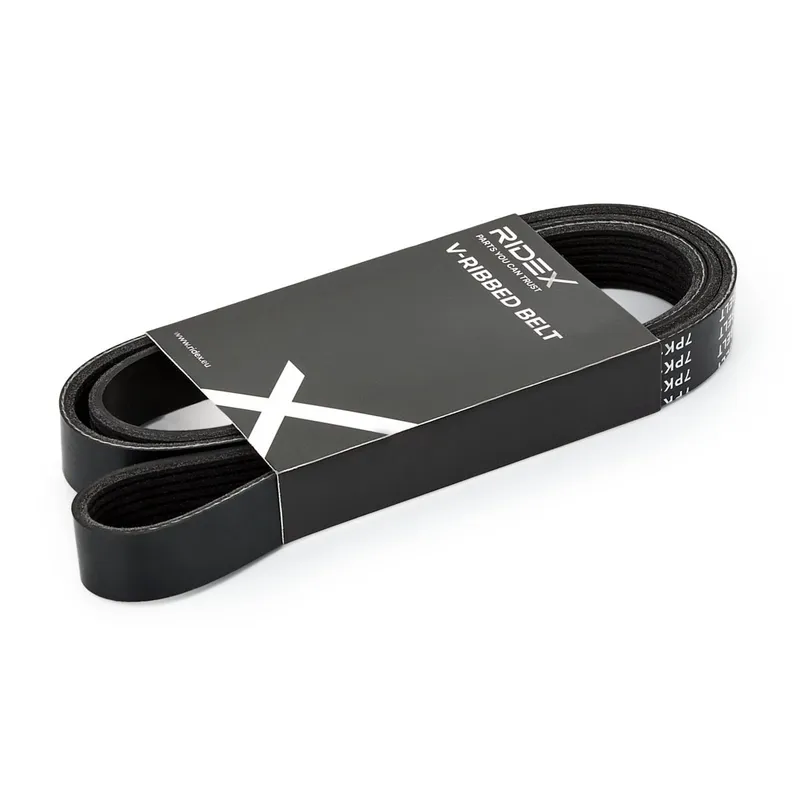 Multirem RIDEX 305P0676