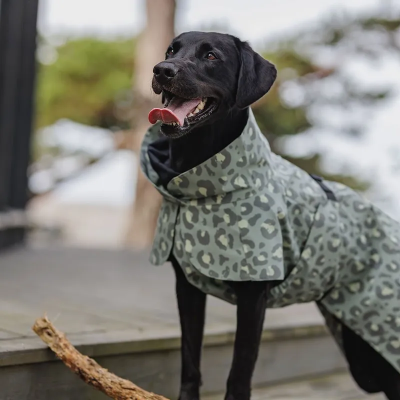 Reflekterande Regnjacka till hund Grön - 20