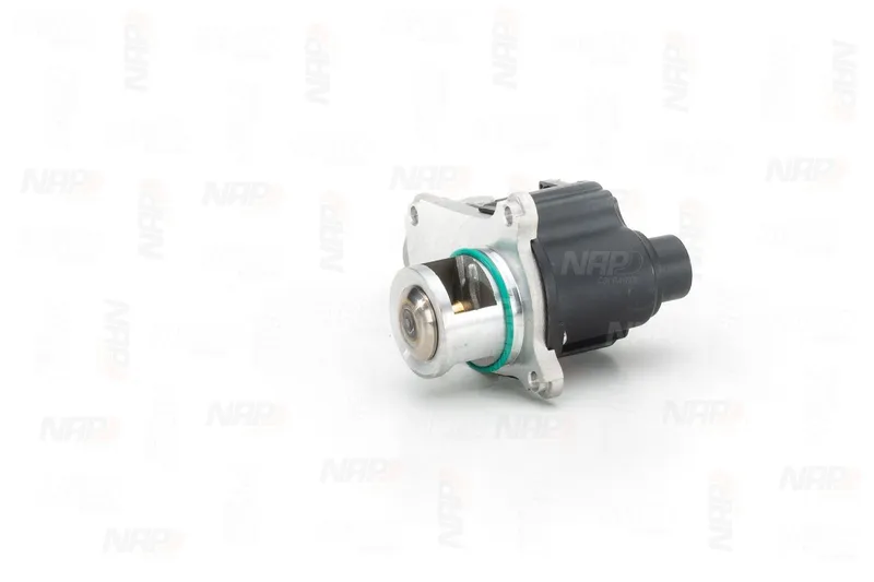 EGR-ventil NAP carparts CAV10126