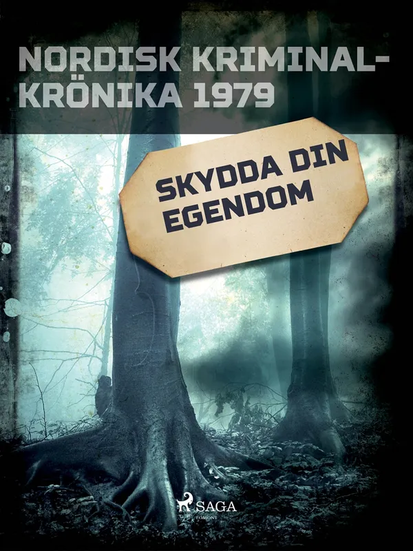 Skydda din egendom, E-bok