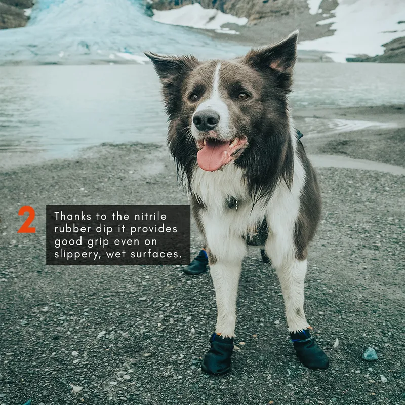 Non-stop Dogwear Protector Bootie 4-pack Black (#3222)