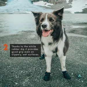 Non-stop Dogwear Protector Bootie 4-pack Black (#3222)