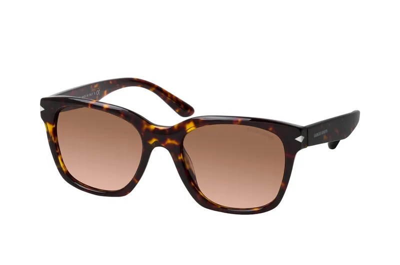 Giorgio Armani AR 8134 502613