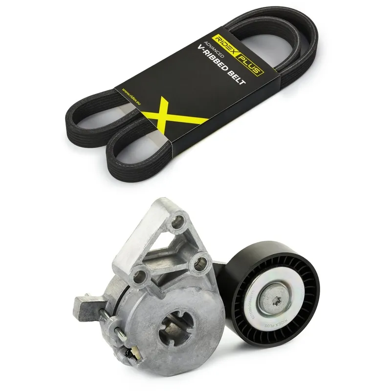 Drivremssats RIDEX PLUS 542R0015P