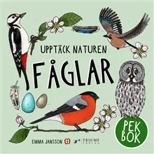 Fåglar – pekbok