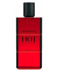 Davidoff Hot Water for Men edt 110ml
