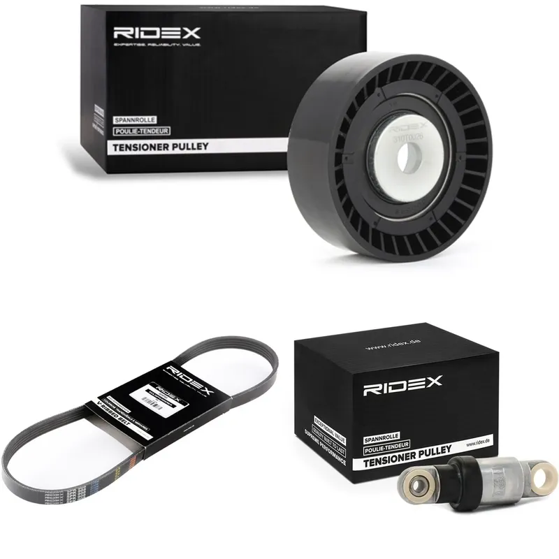 Drivremssats RIDEX 542R1273