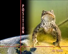 Position