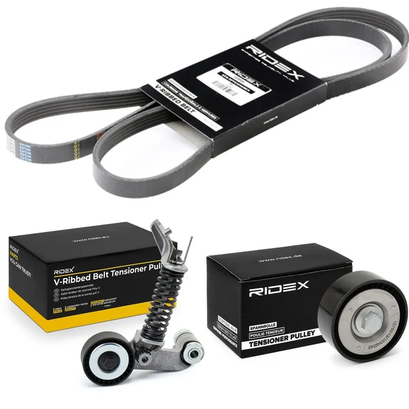 RIDEX 542R0609 Drivremssats