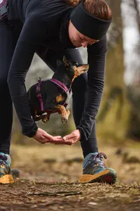 Line Harness 5.0 Hundsele Blå 4