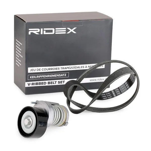 Drivremssats RIDEX 542R0248