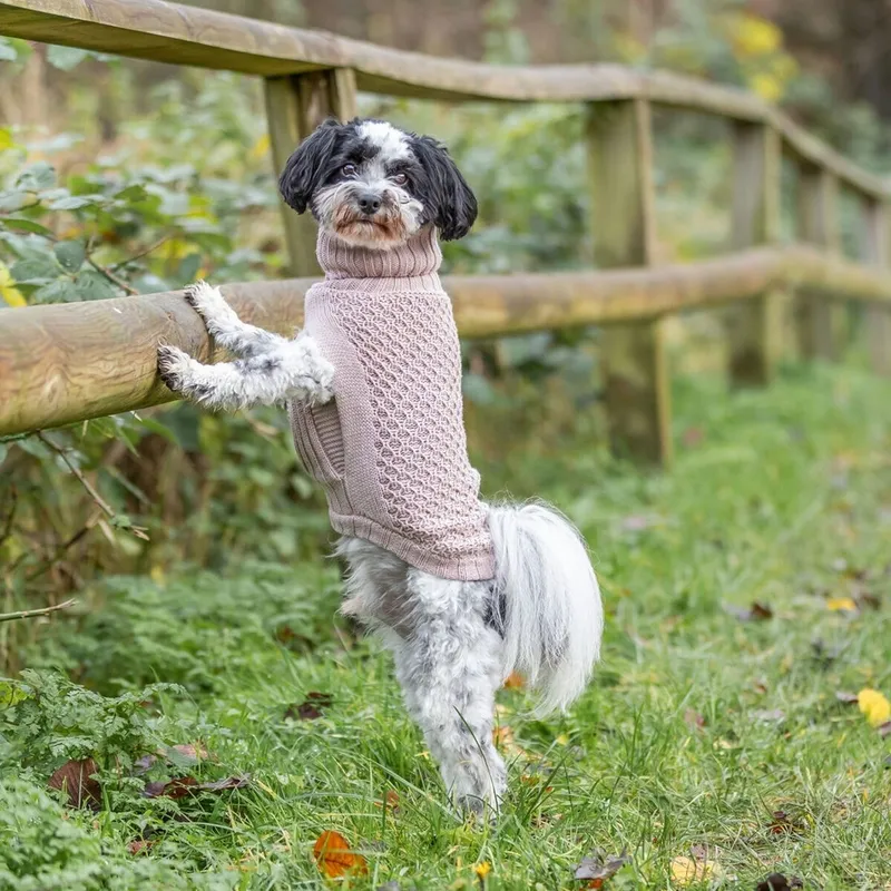 Trixie Norwood Hundtröja med Krage Beige (#5643)