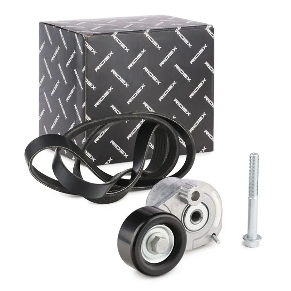 Drivremssats RIDEX 542R0100