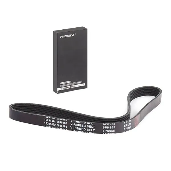 Multirem RIDEX 305P0549