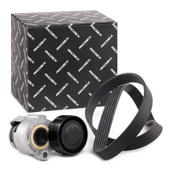 Drivremssats RIDEX 542R0170