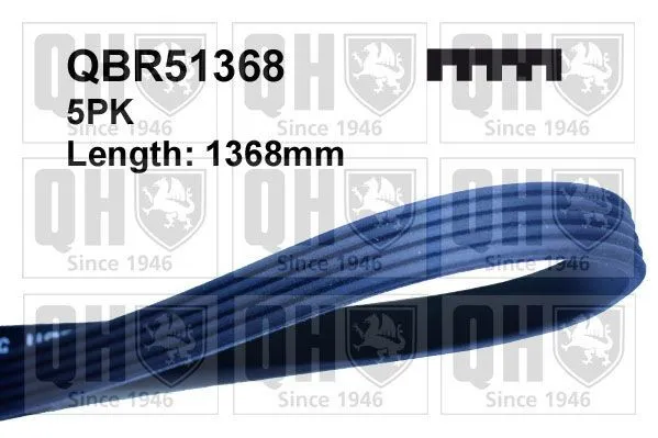 Multirem Quinton Hazell QBR51368