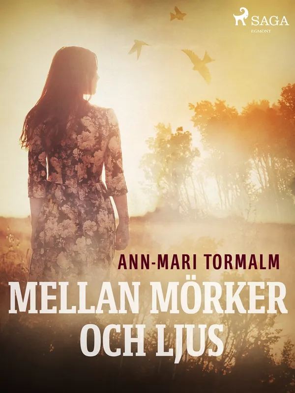 Mellan mörker och ljus, E-bok