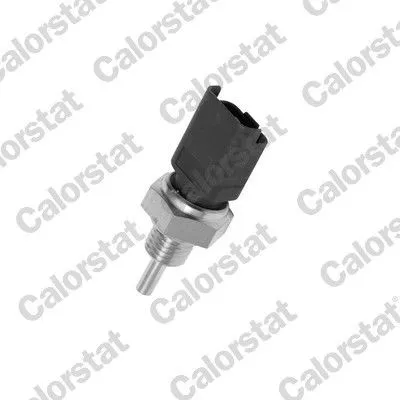 Kylvätsketemperatursensor CALORSTAT by Vernet WS2608