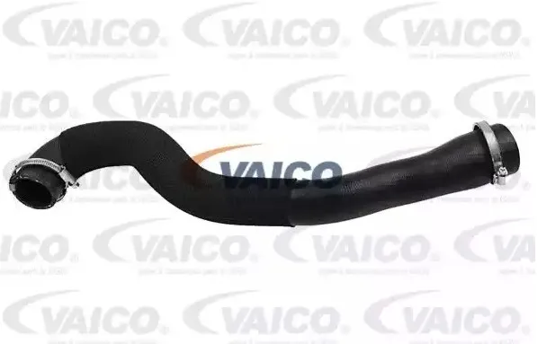 VAICO V25-1043 Laddluftslang