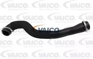 VAICO V25-1043 Laddluftslang