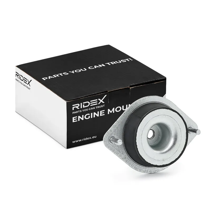 Motorkudde RIDEX 247E0725