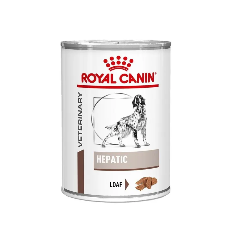 Veterinary Diets Gastro Intestinal Hepatic Loaf Can för hund – 12 x 420 g