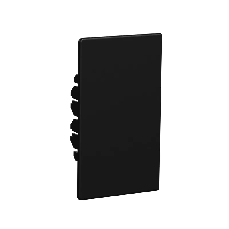 Schneider Electric INS60606 Ändstycke svart