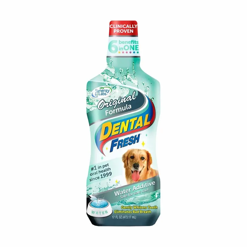 Synergy Labs Dental Fresh 473 ml