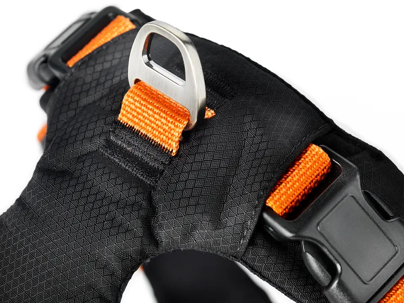 Dogman Sportsele Emmi orange L