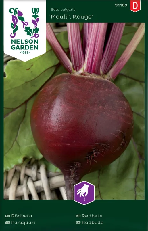 Rödbeta Moulin Rouge – Beta vulgaris Moulin Rouge