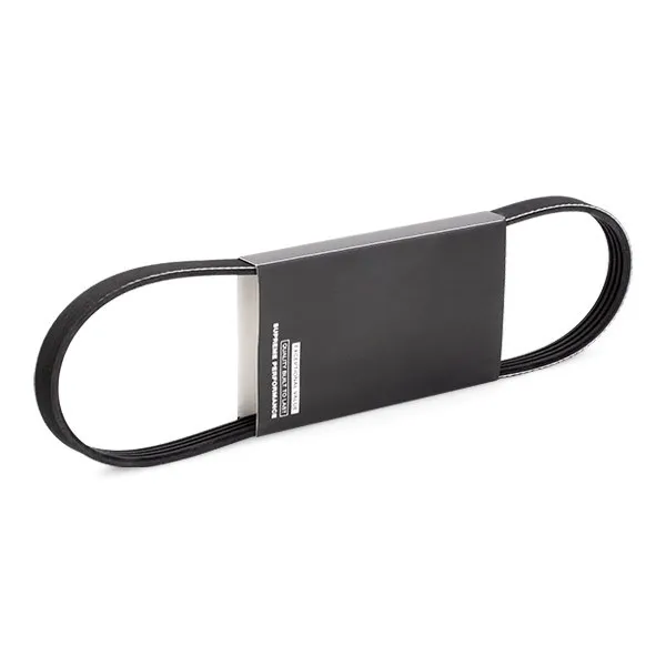 Multirem RIDEX 305P0479