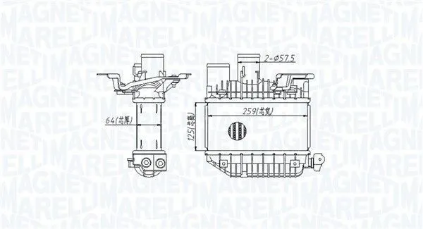 Intercooler MAGNETI MARELLI 351319205310