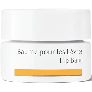 Dr. Hauschka Lipbalm 4.5 ml
