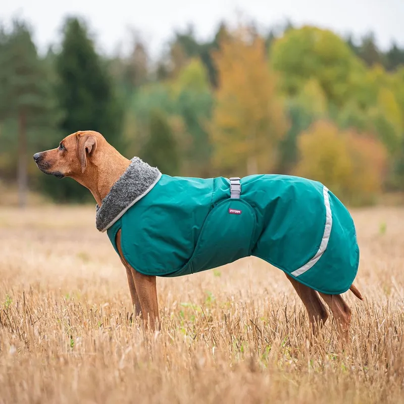 Pomppa Toppa Hundtäcke för Sele Forest