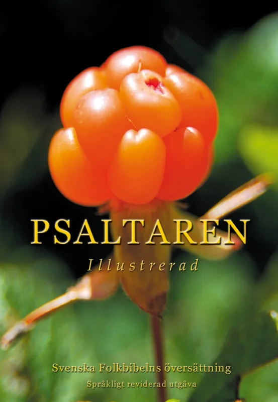 Psaltaren illustrerad, E-bok