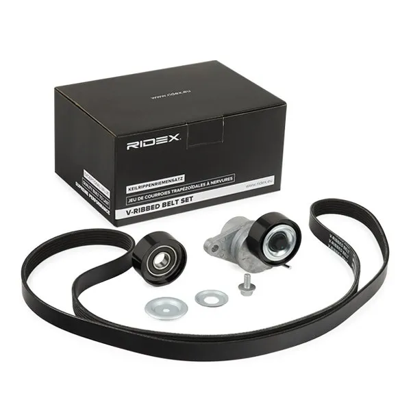 Drivremssats RIDEX 542R0197