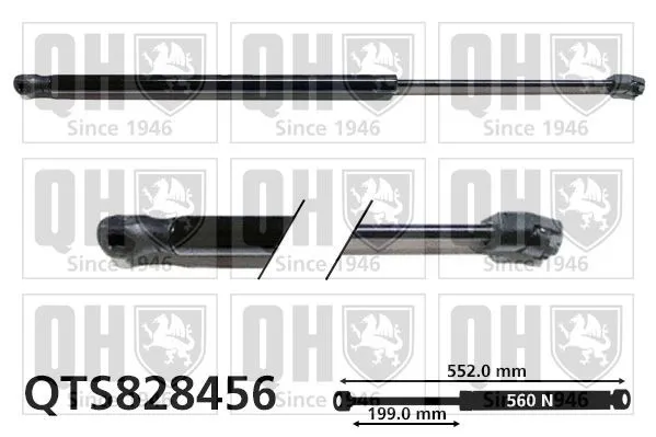 Gasfjäder till baklucka QUINTON HAZELL QTS828456