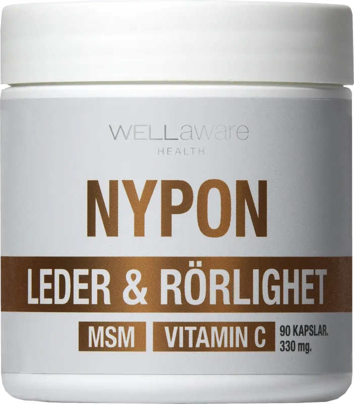 WellAware Nypon+MSM+Vitamin C Kapslar 90 styck
