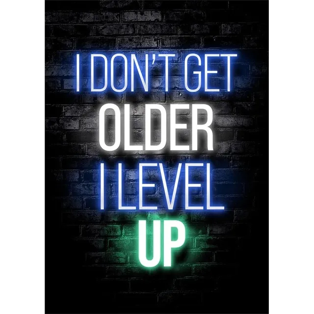 Poster - I Don’T Get Older I Level Up
