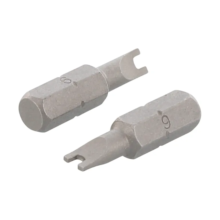 Schäfer & Peters 910912 Säkerhetsbits för tvåhålsdrift, 1/4″x25 SP-12