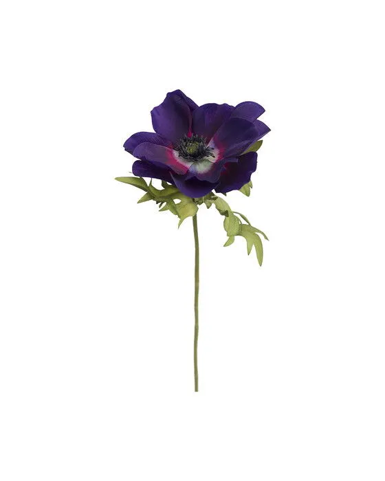 Anemon snittblomma blå