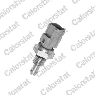 Kylvätsketemperatursensor CALORSTAT by Vernet WS2596