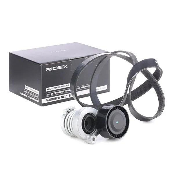 Drivremssats RIDEX 542R0108