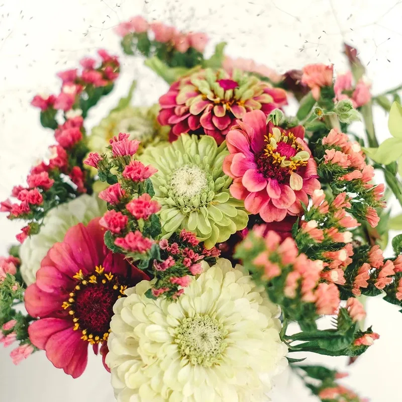 Fröbox Wild Bouquets Zinnia Collection