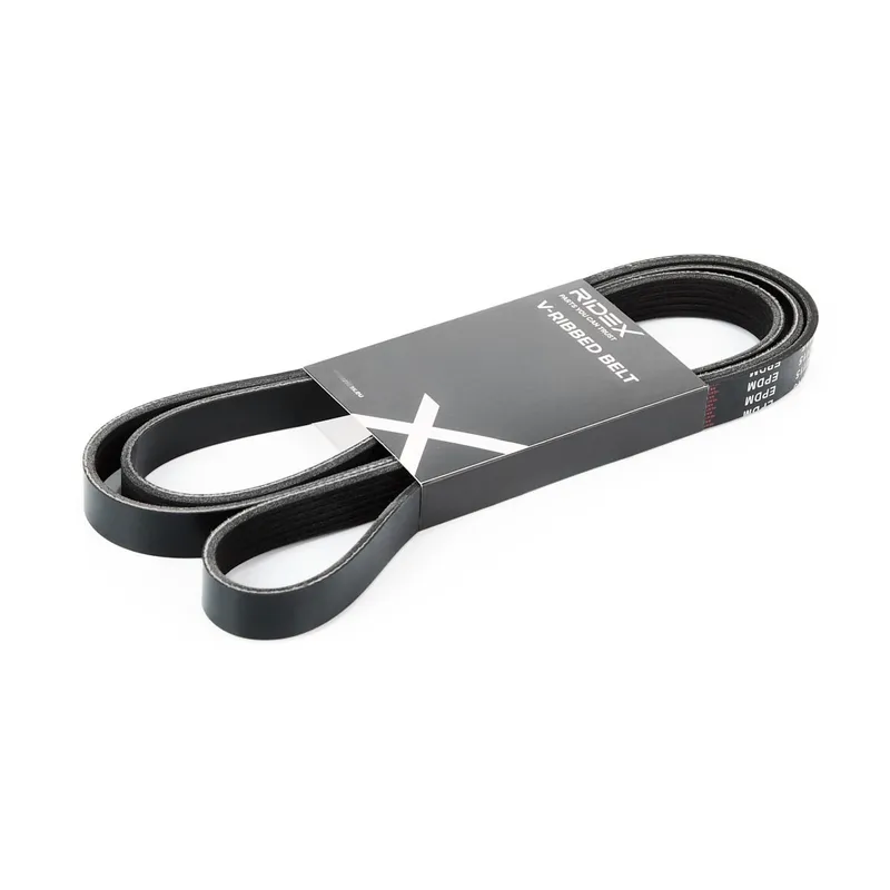 Multirem RIDEX 305P0119